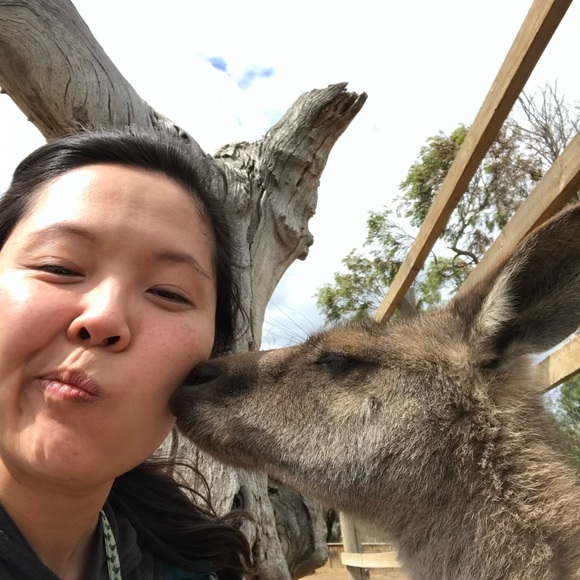 Meet your Posher, Pei Pei - Picture 3 of 3